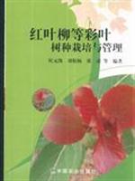 红叶柳等彩叶树种栽培与管理