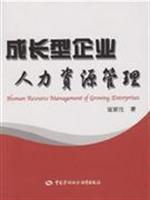 成长型企业人力资源管理