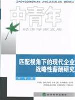 匹配视角下的现代企业战略性薪酬研究-中青年经济学家文库