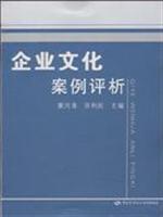 企业文化案例评析
