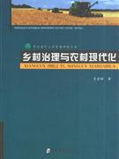 乡村治理与农村现代化