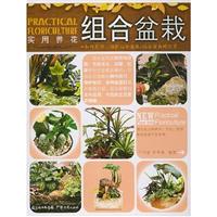 观叶盆栽-实用养花