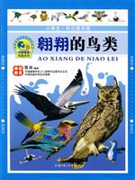 翱翔的鸟类