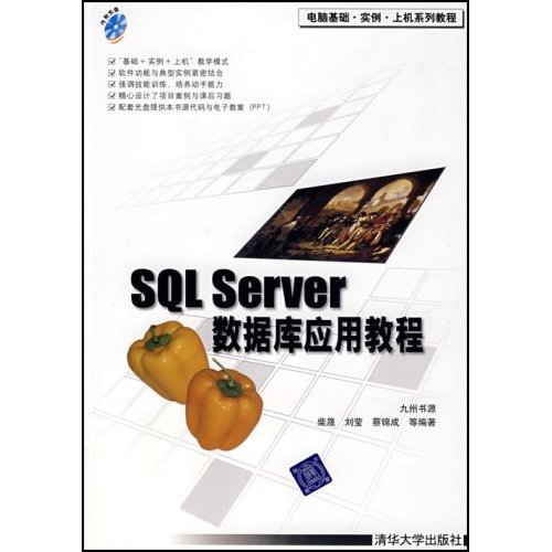 SQLSERVER数据库存应用教程