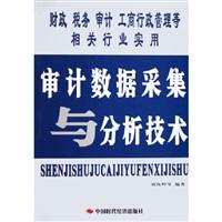 审计数据采集与分析技术