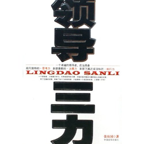有效管理细则-领导三力