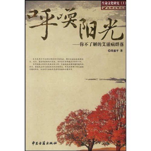 呼唤阳光-你不了解的艾滋病群落-生命文化研究(1)