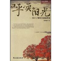 呼唤阳光-你不了解的艾滋病群落-生命文化研究(1)