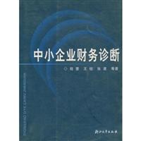 中小企业财务诊断