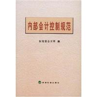 内部会计控制规范
