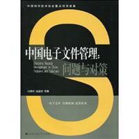 中国电子文件管理-问题与对策