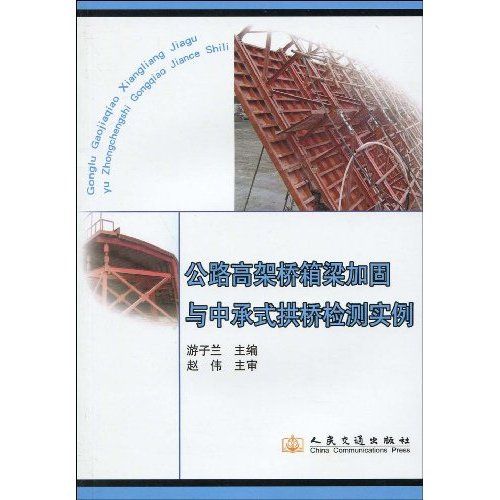 公路高架桥箱梁加固与中承式拱桥检测实例