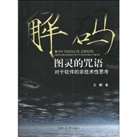 解码图灵的咒语-对于软件的非技术性思考