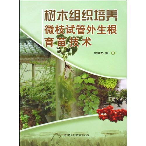 树木组织培养微枝试管外生根育苗技术