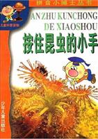 按住昆虫的小手