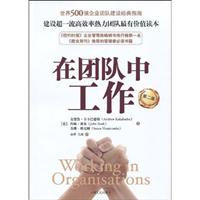 在团队中工作(第二版)