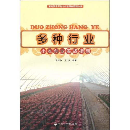 多种行业小本创业实践指南