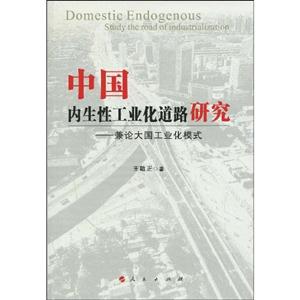中国内生性工业化道路研究-兼论大国工业化模式
