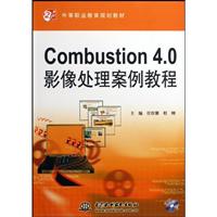 Combustion 4.0影像处理案例教程