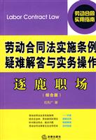劳动合同法实施条例疑难解答与实务操作逐鹿职场(综合版)