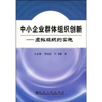 中小企业群体组织创新-虚拟组织的实施