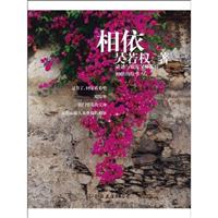 吴若权－相依