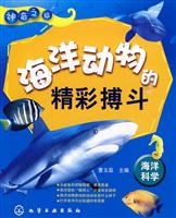 海洋动物的精彩搏斗-神奇之旅-海洋科学