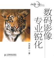 数码影像专业锐化(1CD)(彩印)
