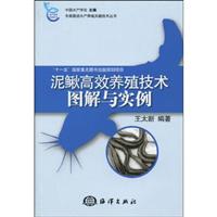 泥鳅高效养殖技术图解与实例