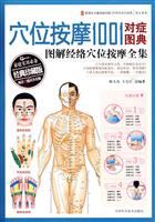 穴位按摩1001对症图典
