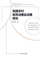 我国农村耐用消费品消费研究