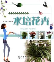 水培花卉