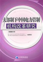 大部制下中国电力管制机构改革研究