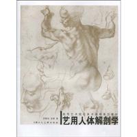 艺用人体解剖学