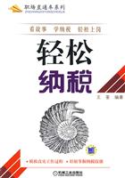 轻松纳税