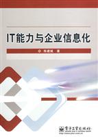 IT能力与企业信息化