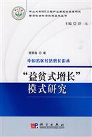 益贫式增长模式研究