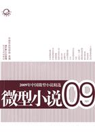 微型小说-2009年中国微型小说精选