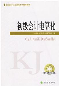 全国2010初级会计电算化