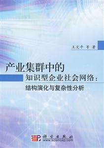 产业集群中的知识型企业社会网络:结构演化与复杂性分析