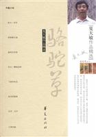 夏天敏作品精选