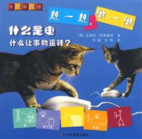 什么是电-想一想.做一做-什么让事物运转