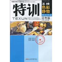 迎考篇-王峰色彩静物