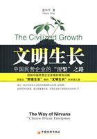文明生长-中国民营企业的涅槃之路