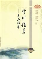 宁川佳茗-天山绿茶