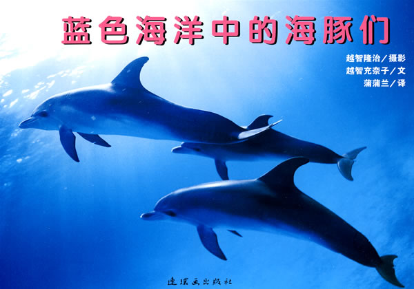 蒲蒲兰绘本 蓝色海洋中的海豚们