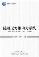随机无穷维动力系统
