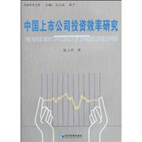 中国上市公司投资效率研究