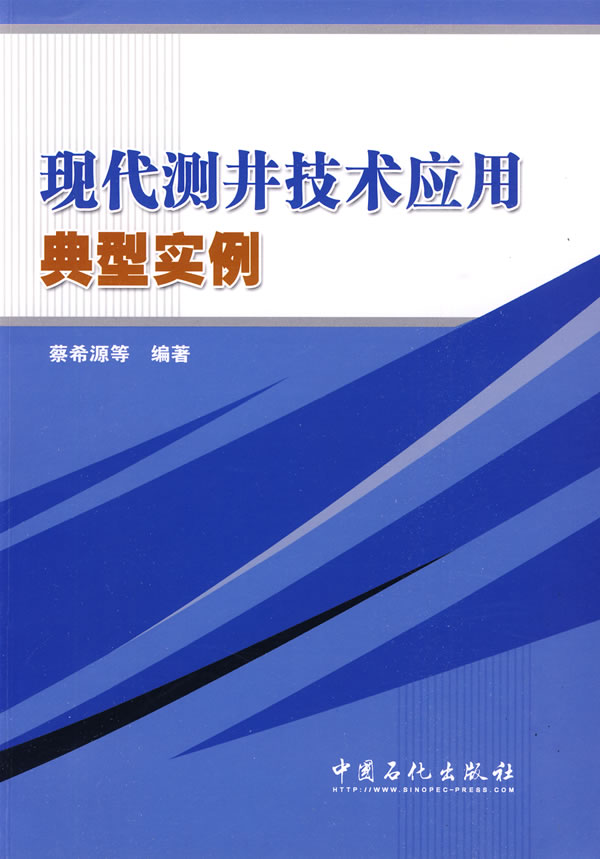 现代测井技术应用典型实例