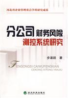 分公司财务风险测控系统研究
